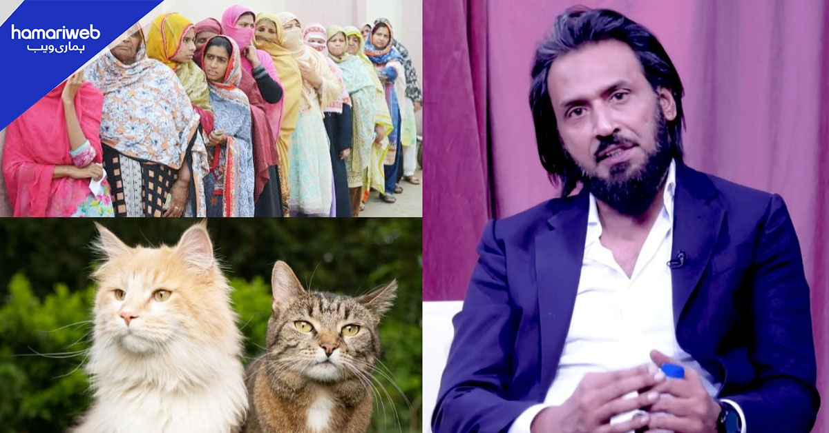 پاکستانی خواتین بلیوں سے بھی زیادہ آسانی سے دستیاب ہیں، ساحل عدیم کے متنازع بیان پر نئی بحث چھڑ گئی