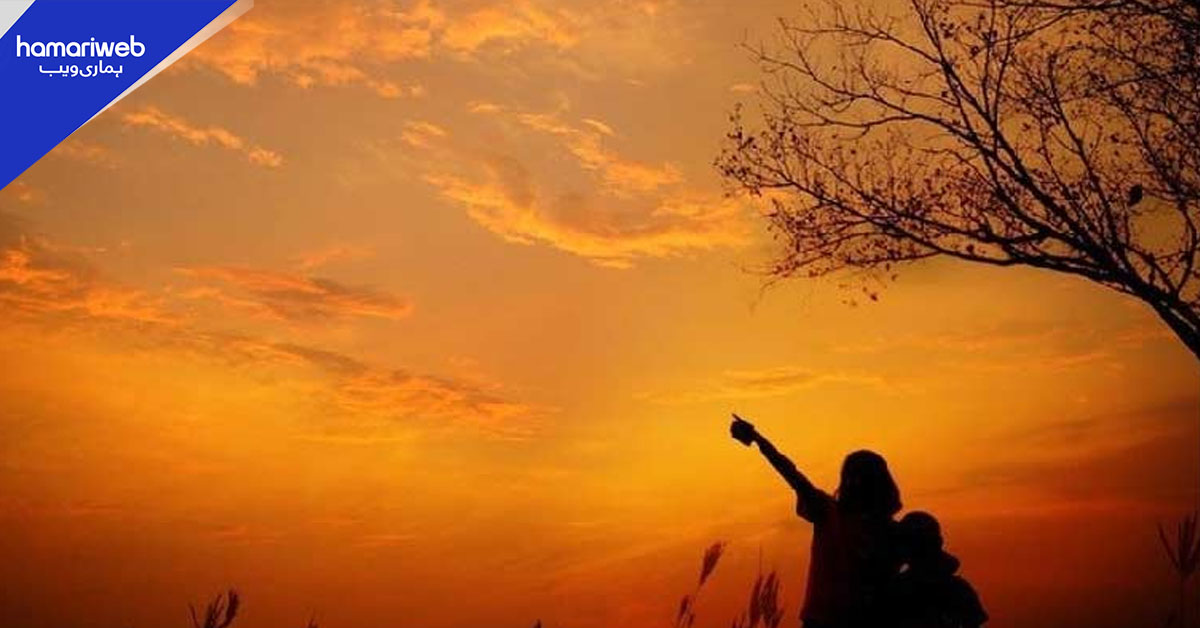 سال میں دو بار دن اور رات برابر کیوں ہوتے ہیں؟ 23 ستمبر اہم فلکیاتی دن