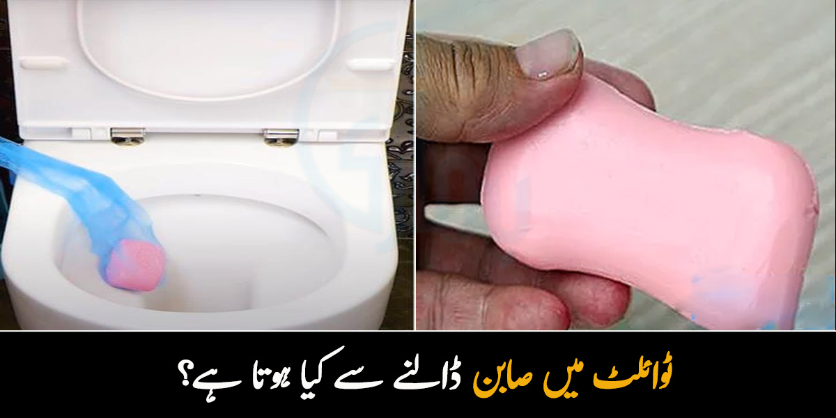 ٹوائلٹ میں صابن ڈالنے سے کیا ہوتا ہے؟ صابن کا ایسا انوکھا استعمال جو بہت کم لوگ جانتے ہیں