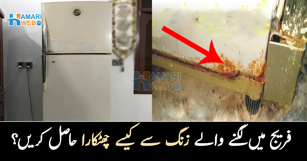 کیا آپ کے فریج میں بھی زنگ لگ گیا ہے؟ صرف ایک چھوٹا سا کام کریں اور اس مسئلے سے ہمیشہ کے لئے چھٹکارا حاصل کریں