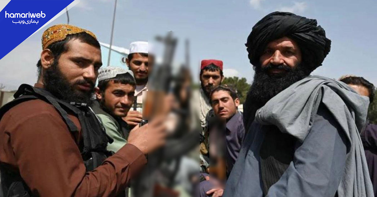 القاعدہ جیسے شدت پسند گروہوں نے افغانستان کو بھرتی اور تربیت کا مرکز بنالیا، گلوبل کانفلکٹ ٹریکر