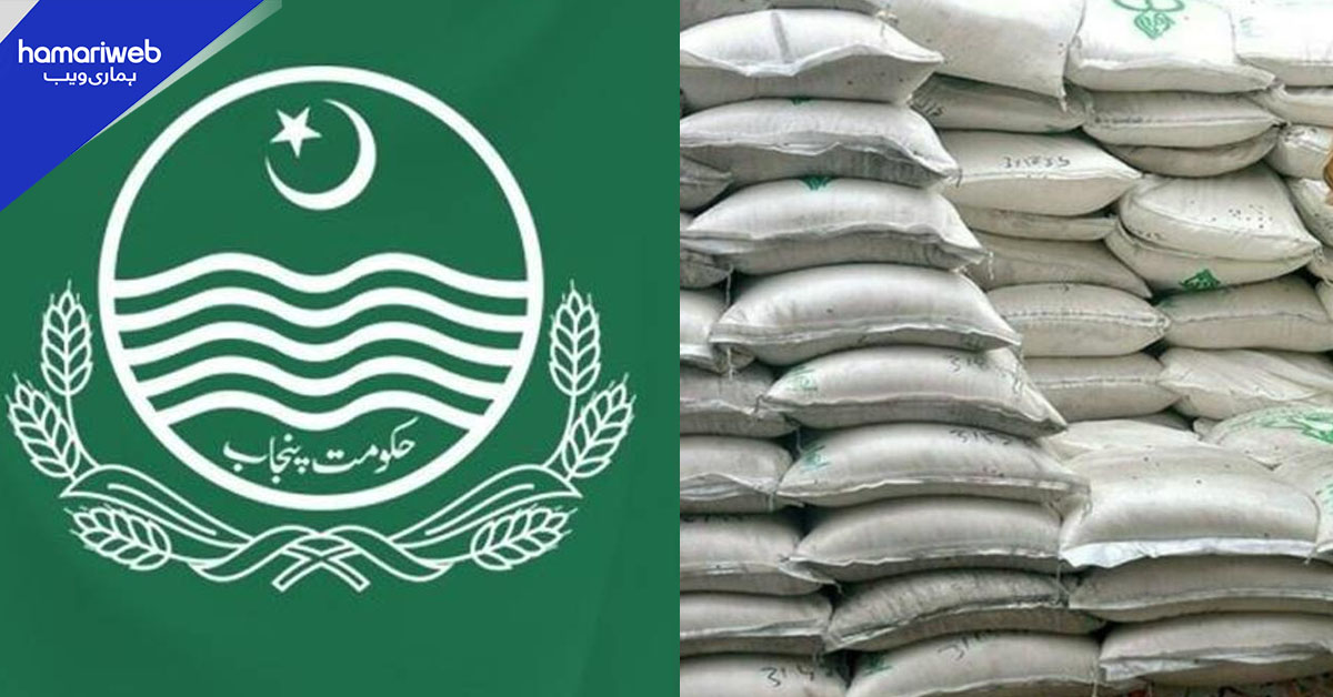 پنجاب میں 20 کلو آٹے کا تھیلا بند کرنے کا فیصلہ، مارکیٹ میں صرف 10 کلو کا تھیلا فروخت ہوگا