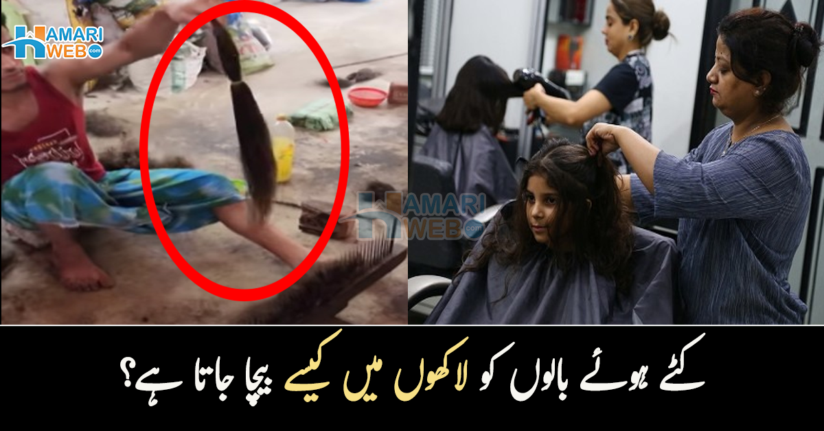 آپ جو بال کٹواتے ہیں ان کا کیا ہوتا ہے۔۔ دیکھیں کٹے ہوئے بالوں کو لاکھوں میں کیسے بیچا جاتا ہے؟ معلوماتی ویڈیو