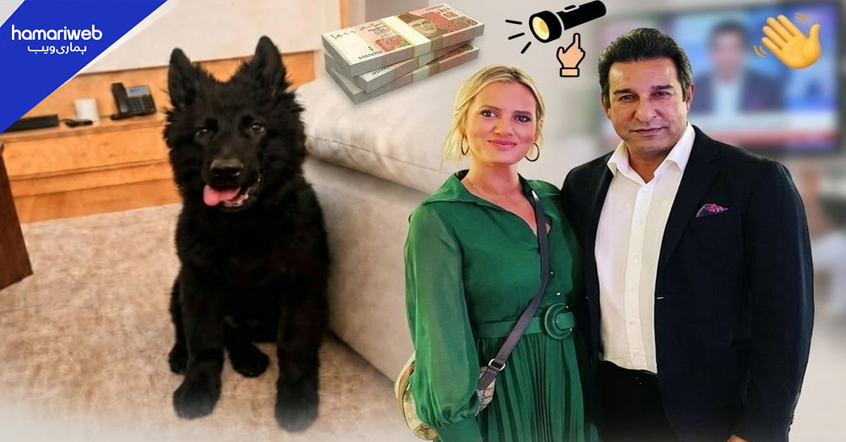 وسیم اکرم کا پالتو کتا کراچی سے لاپتا، تلاش میں مدد کرنے والے کے لیے ڈھائی لاکھ روپے انعام