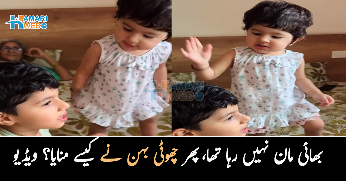 اگر مجھے معاف نہیں کیا تو پٹائی کروں گی ۔۔ بھائی کو مناتے ہوئے پیاری سی بچی کی ویڈیو نے دیکھنے والوں کے دل موہ لئے
