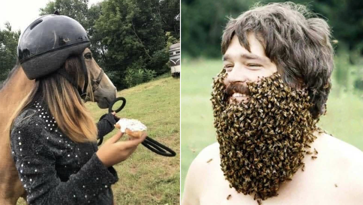 داڑھی ہے یا پھر کچھ اور؟ 80 فیصد تیز نظر رکھنے والے افراد بھی ان تصویروں کی حقیقت نہیں بتا سکیں گے