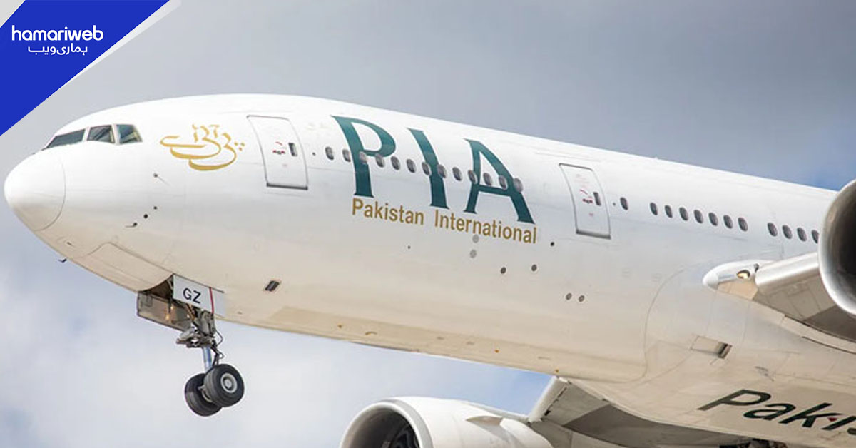 پی آئی اے کے خریداروں نے اسپیشل پرپز وہیکل قائم کردی 