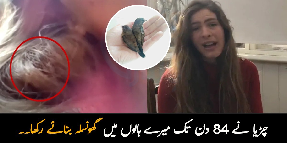 چڑیا نے 84 دن تک میرے بالوں میں گھونسلہ بنائے رکھا۔۔ یہ لڑکی سر پر گھونسلے کے ساتھ اتنے دن کیسے رہی؟