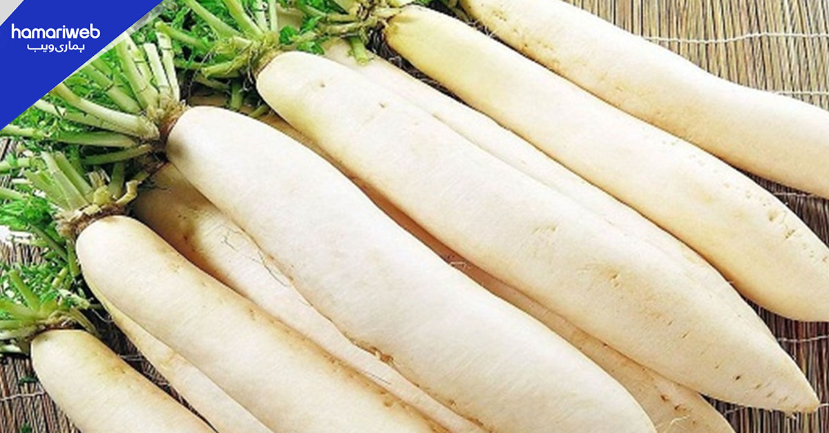 مولی: سردیوں کی سستی مگر طاقتور سپر فوڈ، ماہرین نے 6 بڑے فوائد بتا دیے