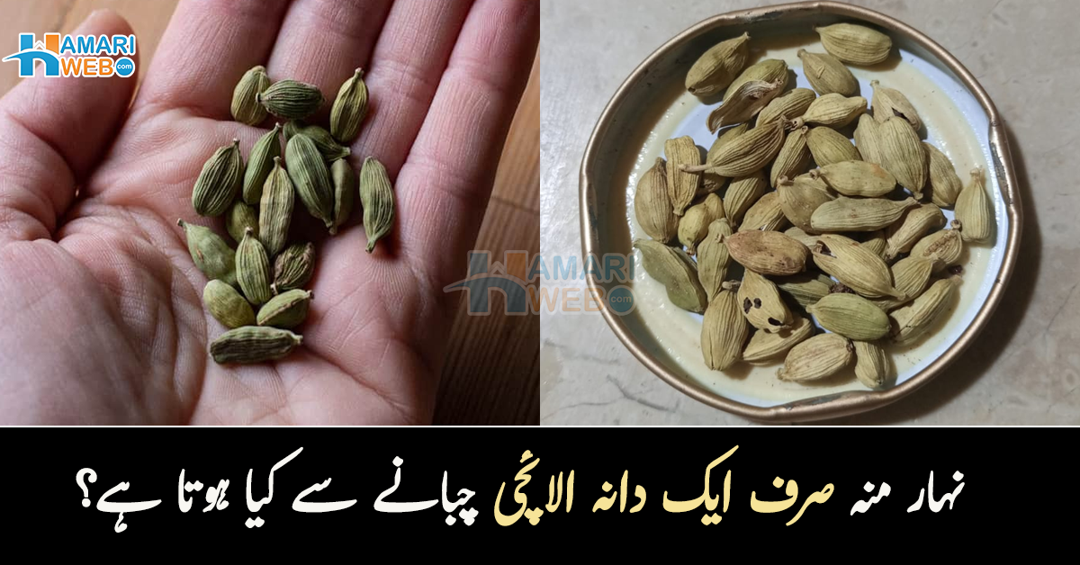 نہار منہ صرف ایک دانہ الائچی چبانے سے کیا ہوتا ہے؟ جانیں اس کے 3 اہم فائدے
