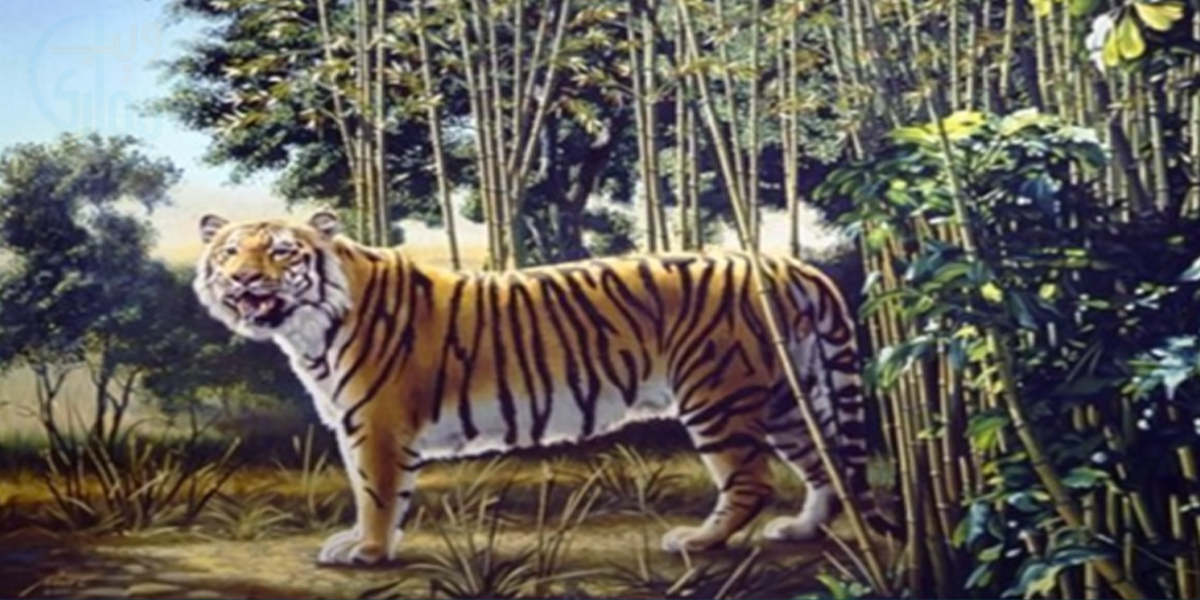 تصویر کو غور سے دیکھیں اور بتائیں کہ اس میں کتنے شیر موجود ہیں، آپ کا جواب بتائے گا کہ آپ کتنے عقلمند ہیں؟ جانیے