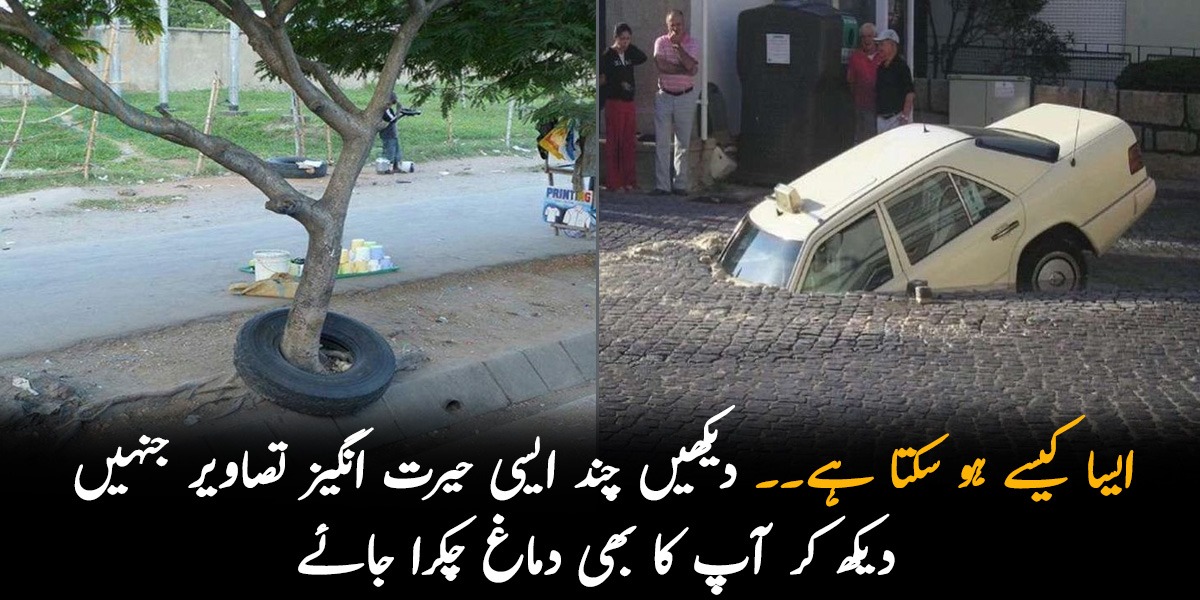 ایسا کیسے ہو سکتا ہے۔۔ دیکھیں چند ایسی حیرت انگیز تصاویر جنہیں دیکھ کر آپ کا بھی دماغ چکرا جائے