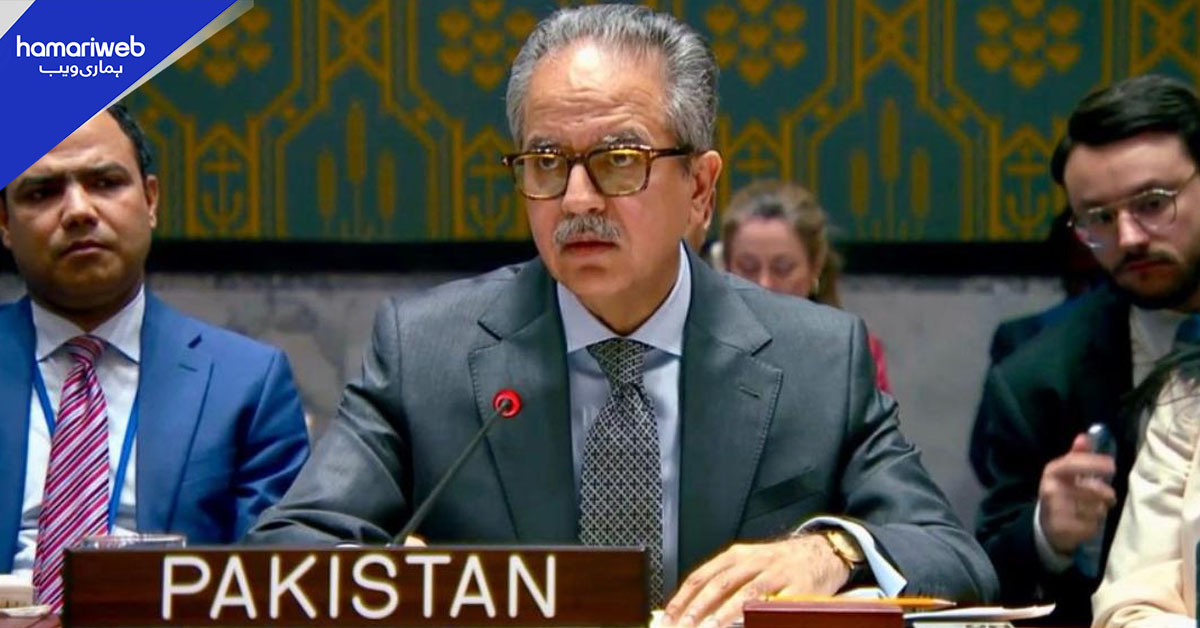 پاکستان کا اقوام متحدہ کی سلامتی کونسل میں افغانستان میں موجود دہشت گرد تنصیبات پر شدید تشویش کا اظہار