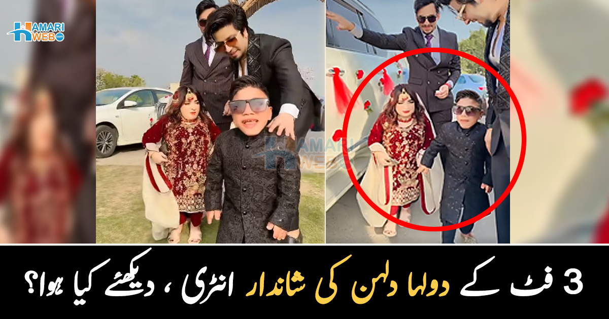 یہ صرف 3 فٹ کے ہیں اور ۔۔ شادی میں ننھے دولہا دلہن کی شاندار انٹری میں کیا خاص ہے؟ دیکھئے