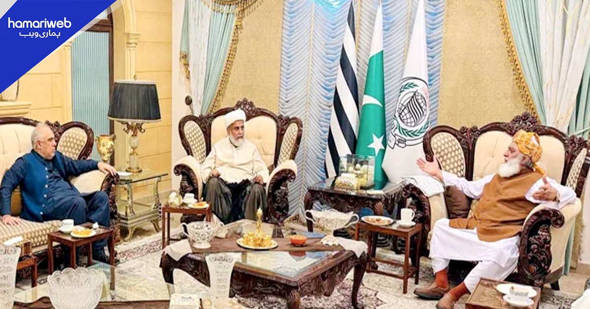 تحریک تحفظ آئین پاکستان کا نیا میثاقِ جمہوریت لانے پر اتفاق، اے پی سی بلانے پر مشاورت