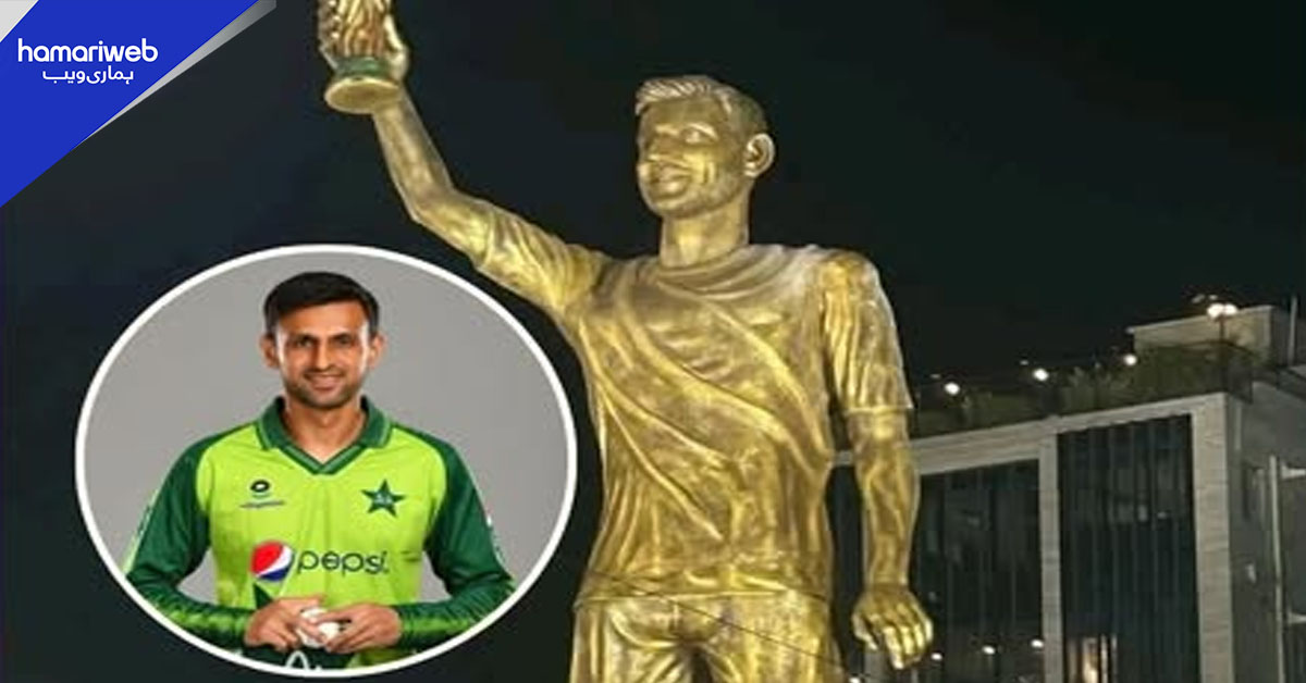 کولکتہ میں پاکستانی کرکٹر سے مشابہت رکھنے والے میسی کے مجسمے کی نقاب کشائی، دلچسپ تکرار 