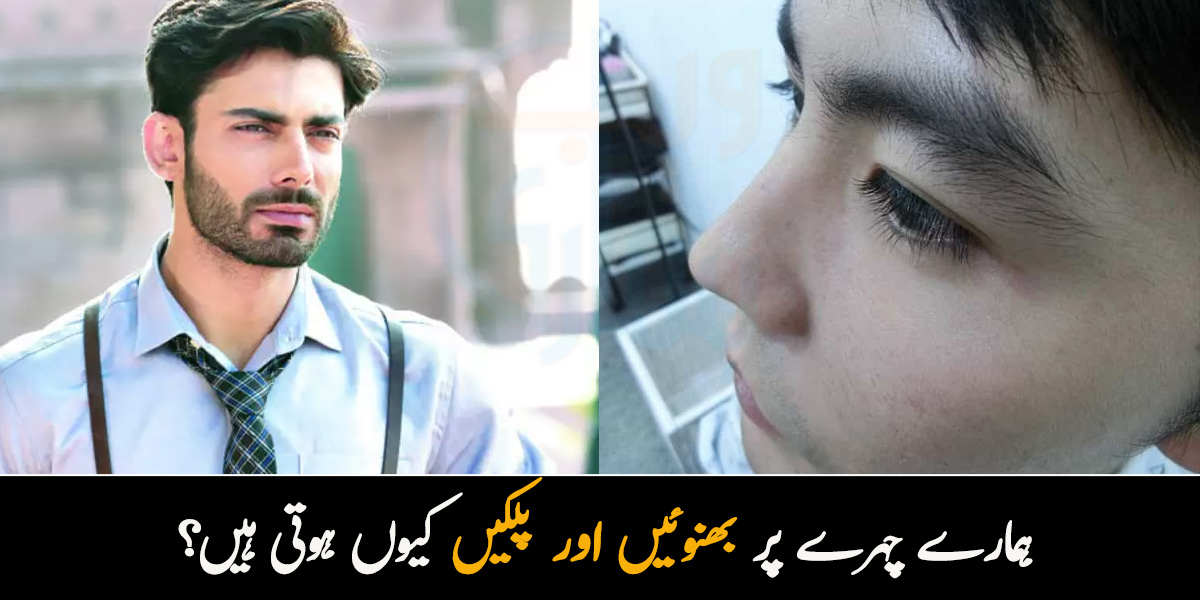 ہمارے چہرے پر بھنوئیں اور پلکیں کیوں ہوتی ہیں؟ جانیے ان کی دلچسپ اور حیرت انگیز وجوہات