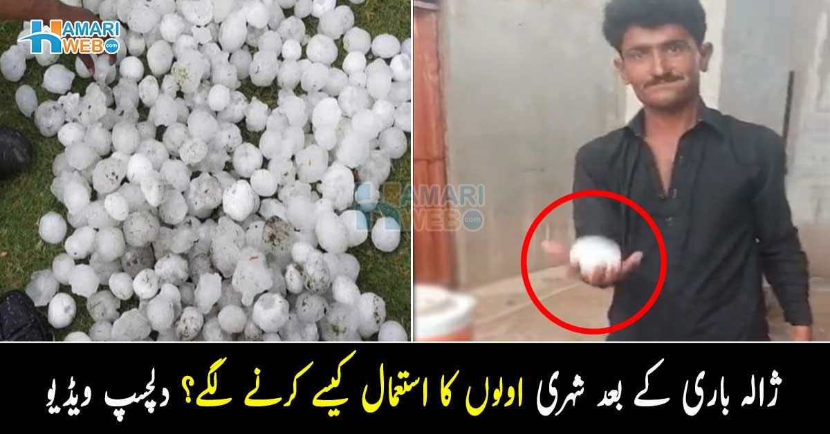 پاکستانی ہر چیز کا جگاڑ نکال لیتے ہیں۔۔ اندرون سندھ میں شہری ژالہ باری کے بعد اولوں سے کیا کرنے لگے؟ دیکھیں دلچسپ ویڈیو