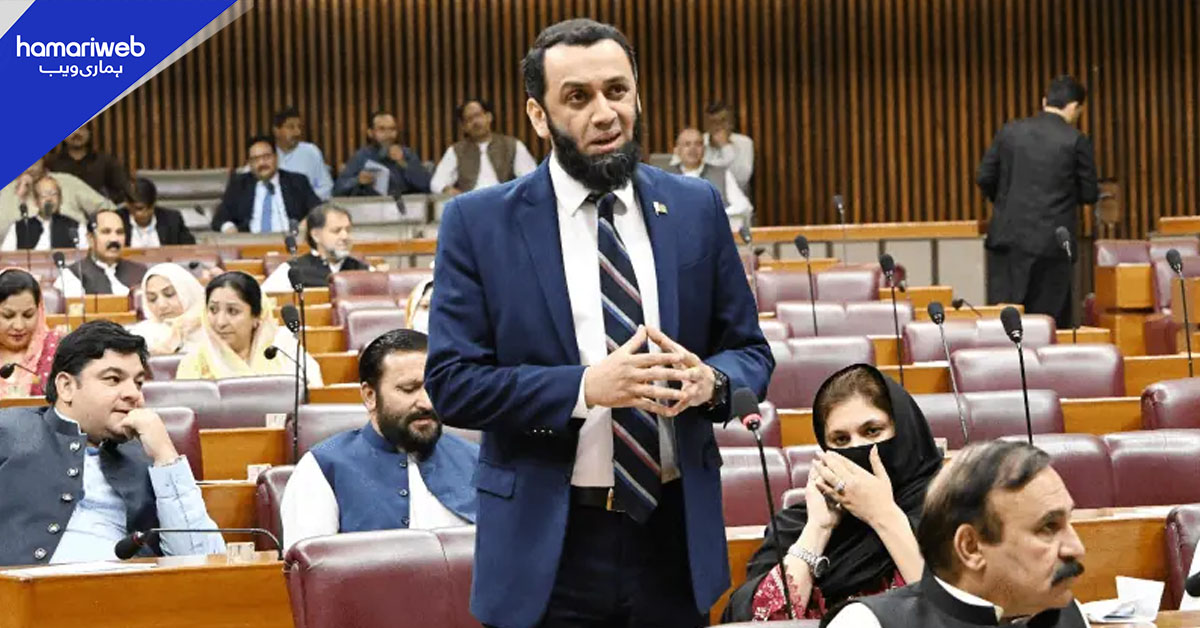 شرجیل میمن کے الزامات بے بنیاد ہیں، اعتراض ہے تو ثبوت پیش کریں: عطاء اللہ تارڑ