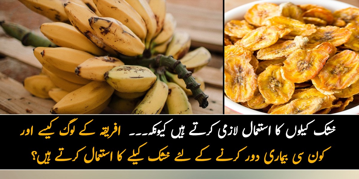 خشک کیلوں کا استعمال لازمی کرتے ہیں کیونکہ ۔۔  افریقہ کے لوگ کیسے اور  کون سی بیماری دور کرنے کے لئے خشک کیلے کا استعمال کرتے ہیں؟ جانیں