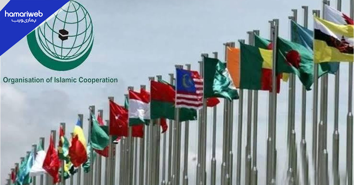حوثیوں کے حملوں کی مذمت، او آئی سی کا سعودی عرب کی مکمل حمایت کا اعلان