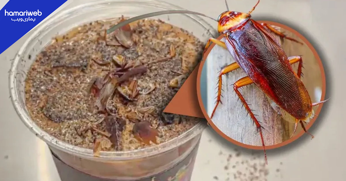 بیش قیمت کاکروچ کافی بیجنگ کا نیا مشروب۔۔۔ذائقہ کیسا ہے؟