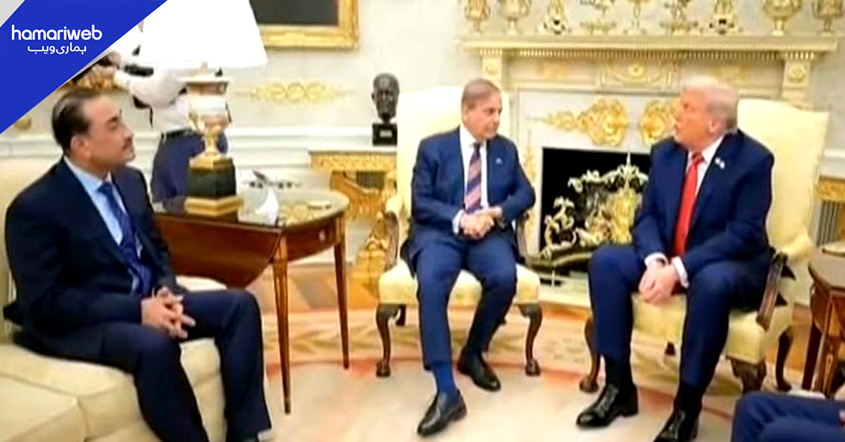 پاکستان کے لیے 2025 سفارتی و عسکری کامیابیوں کا سال قرار