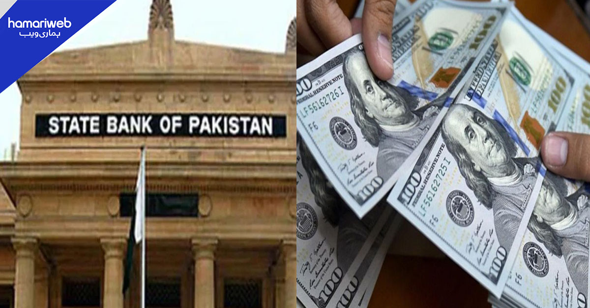 یورپی ممالک سے پاکستانیوں کی ترسیلات زر میں 20 فیصد سالانہ اضافہ