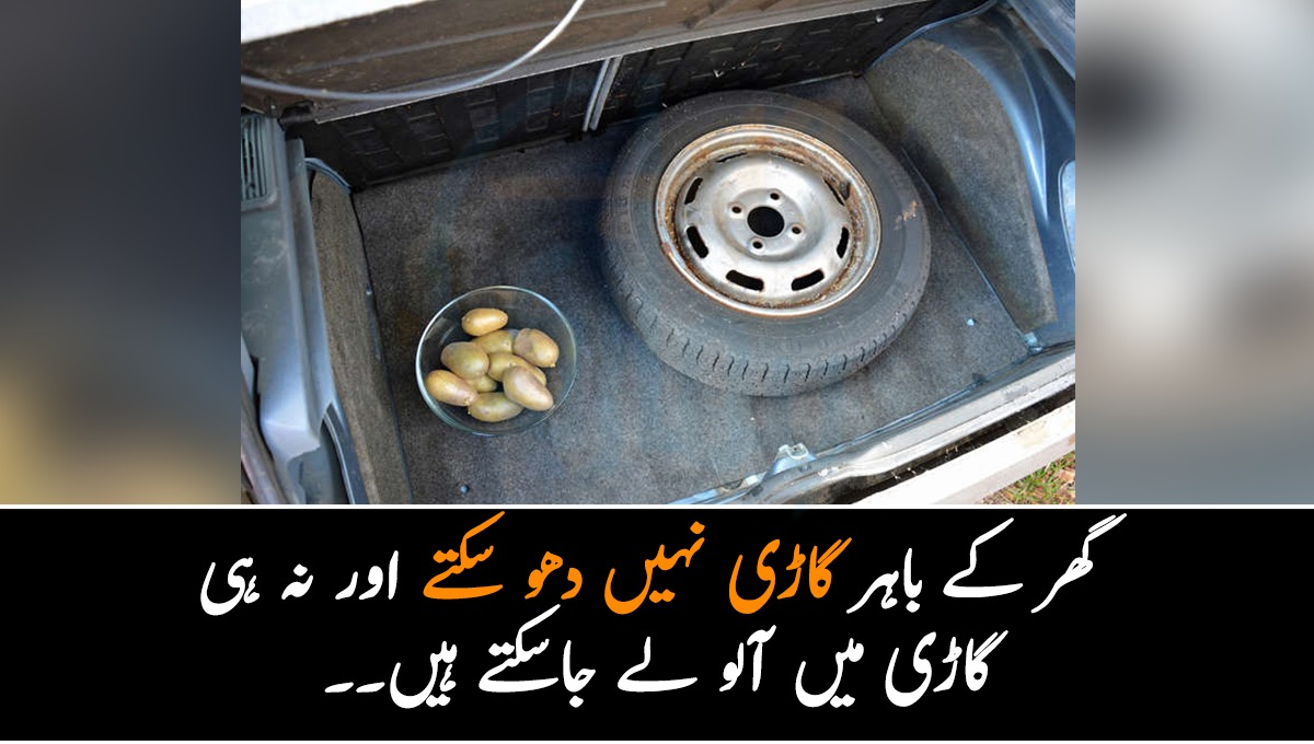 گھر کے باہر گاڑی نہیں دھو سکتے اور نہ ہی گاڑی میں آلو لے جاسکتے ہیں۔۔ دنیا میں گاڑیوں سے متعلق کون سے عجیب و غریب قانون موجود ہیں؟