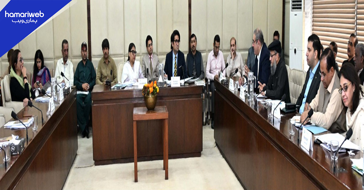 سینیٹ کمیٹی کی ایم۔6 موٹروے منصوبے پر پیشرفت تیز کرنے کی ہدایت