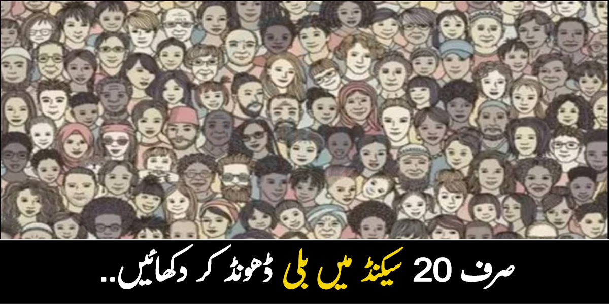 ان چہروں میں سے بلی کو تلاش کریں.. بہت ہی مشکل چیلنج جو صرف ذہین افراد ہی پورا کرسکتے ہیں