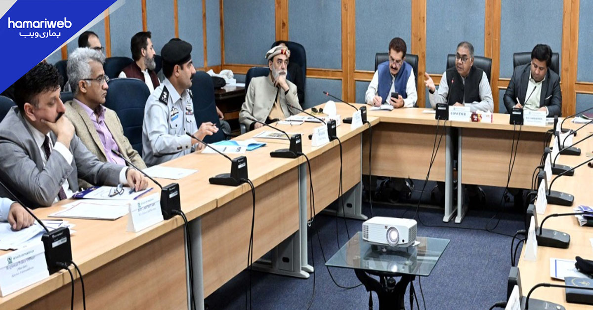 سینیٹ قائمہ کمیٹی: کسٹمز سے 14 سال کے دوران ضبط اشیاء کی تفصیلی رپورٹ طلب