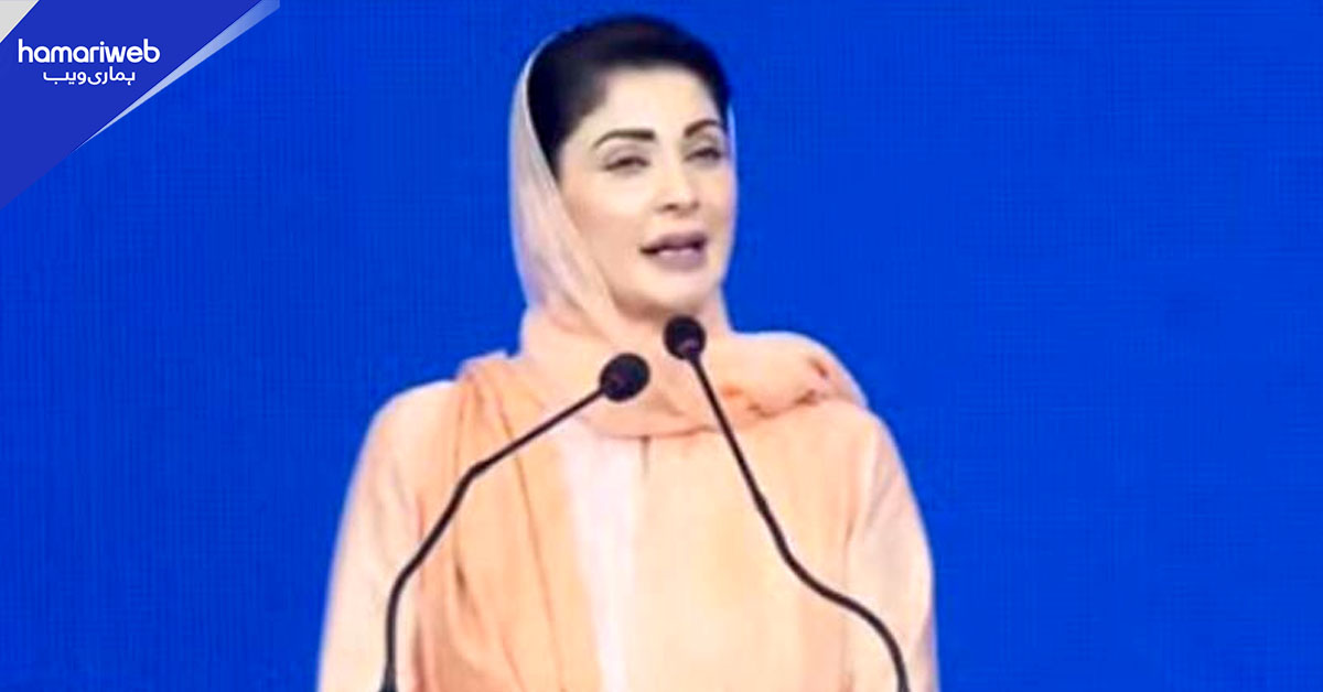 پنجاب میں 2026 ”سالِ نوجوان“ قرار، 1 لاکھ ملازمتیں اور انٹرنشپس فراہمی کا وعدہ