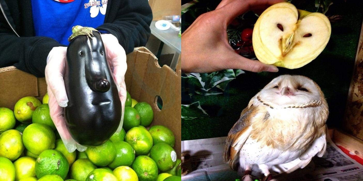 ان سبزیوں پر یہ شکلیں کیسے بن گئیں؟  تصاویر میں موجود ایسی گڑبڑ جس نے دیکھنے والوں کو دوبارہ دیکھنے پر مجبور کردیا