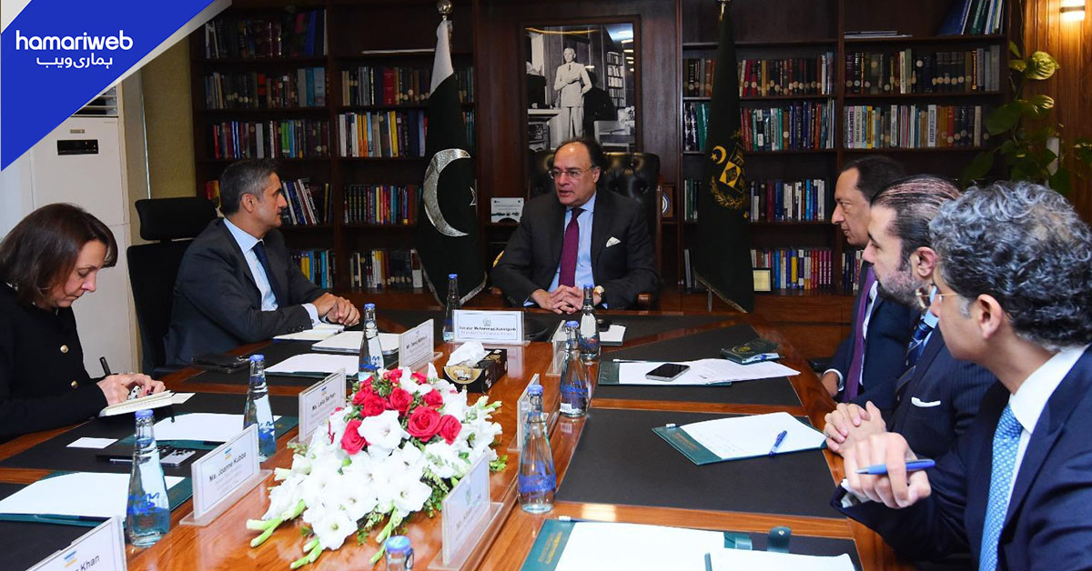 وزیر خزانہ سے ویزا وفد کی ملاقات، ڈیجیٹل پیمنٹس اور اصلاحات پر بات