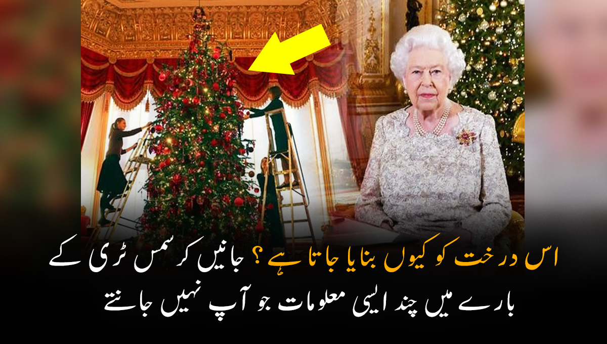 یہ درخت اس لیے بنایا گیا کیونکہ ۔۔۔ جانیں کرسمس ٹری کے بارے میں چند ایسی معلومات جو آپ نہیں جانتے