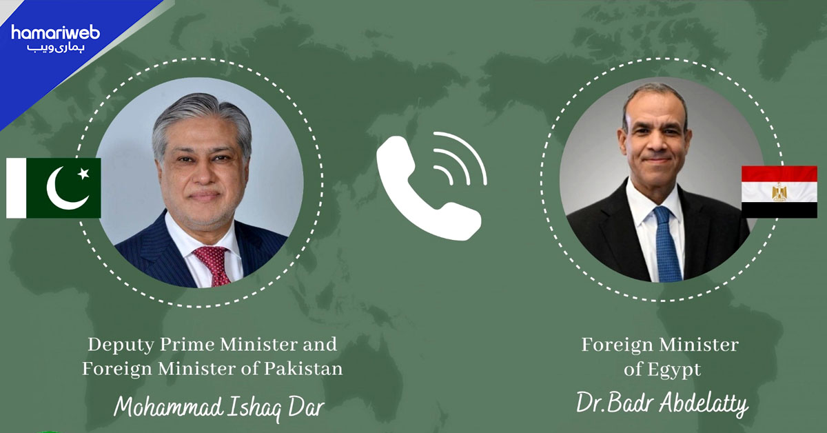 نائب وزیراعظم کا مصری وزیر خارجہ سے رابطہ، مختلف امور پر تبادلہ خیال