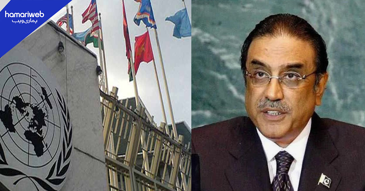 صدر زرداری کا اقوام متحدہ کے انسانی حقوق کے ماہرین کی رپورٹ کا خیر مقدم