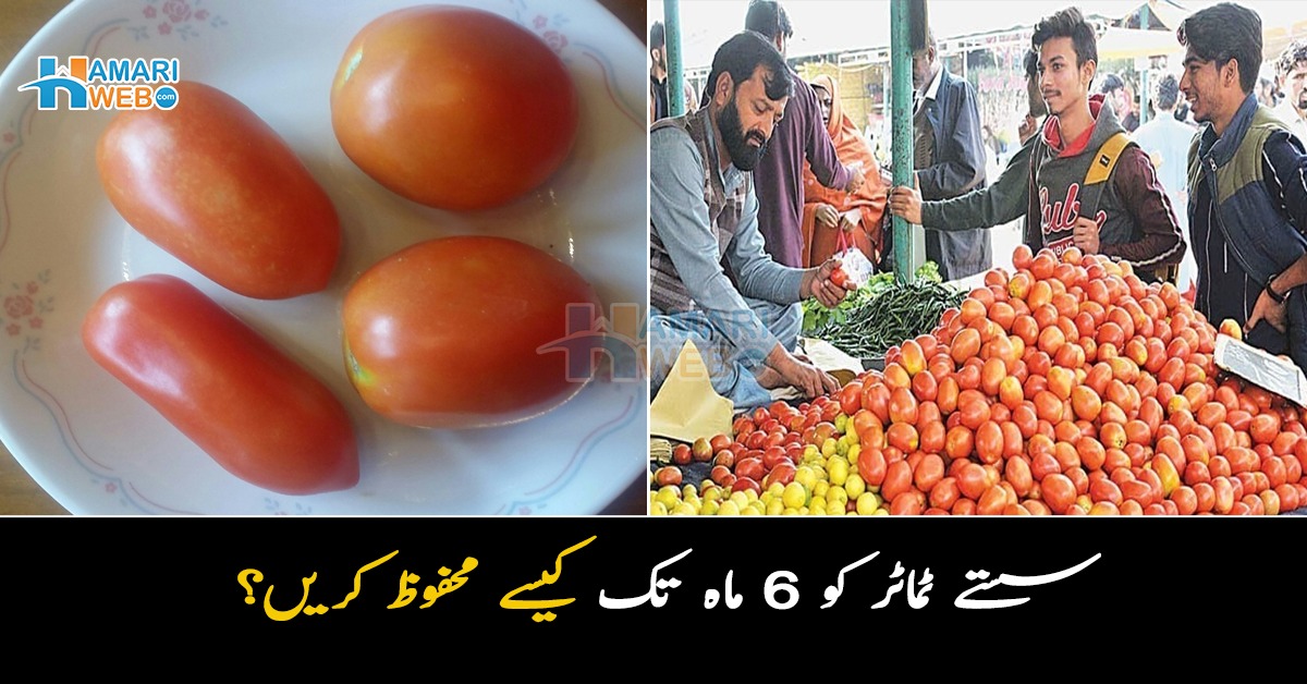 سستے ٹماٹر کو 6 ماہ تک کیسے محفوظ کریں؟ آسان طریقے جانیں اور کم پیسوں میں بھرپور فائدہ اٹھائیں