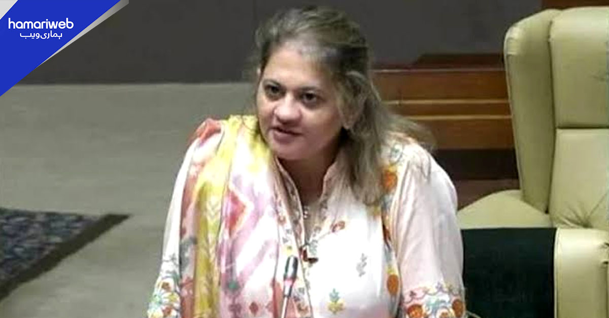 سندھ کی تقسیم یا نقصان پر خاموش نہیں رہیں گے، وفاق نفرتیں نہ پھیلائے، سعدیہ جاوید