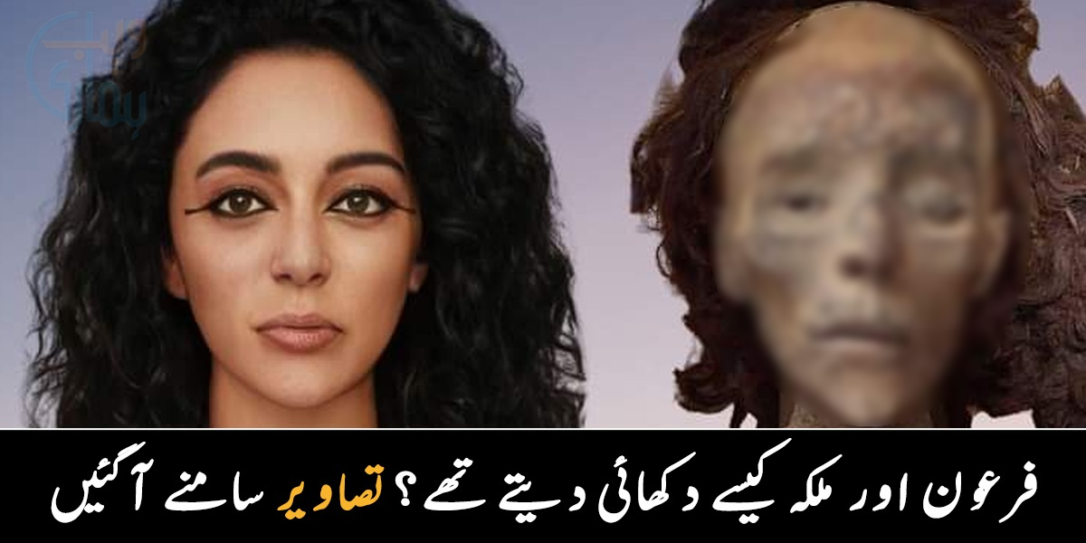 لمبی ناک، بڑی آنکھیں، سفید چہرا ۔۔ مصر کی ملکہ اور فرعون کیسے دکھتے تھے،  ٹیکنالوجی نے انہیں کیسے زندہ کیا؟