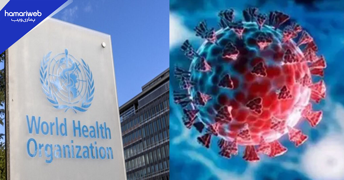 رواں برس عالمی سطح پر انفلوئنزا کا نیا جینیاتی ذیلی گروہ سامنے آگیا، عالمی ادارہ صحت