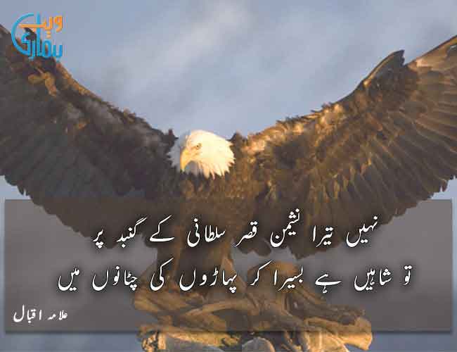 Allama Iqbal Poetry - Best Iqbal Shayari in Urdu & Quotes