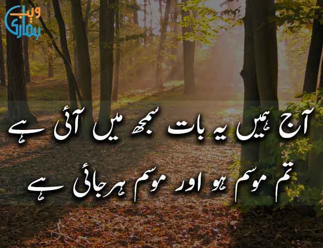 urdu sad poetry images wasi shah