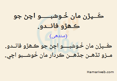 sindhi poetry