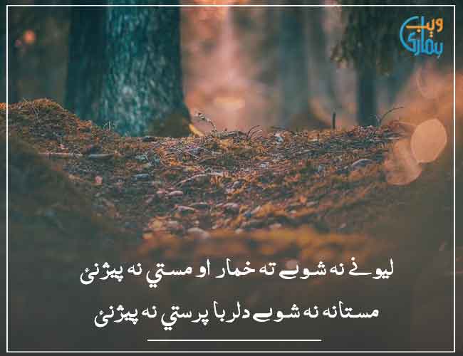 pashto poetry with english translation