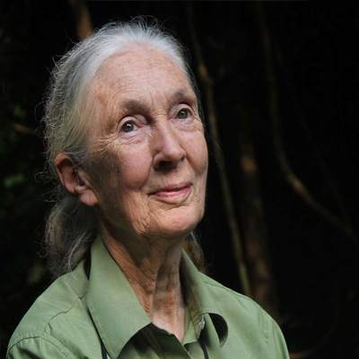 Jane Goodall - Profile Picture