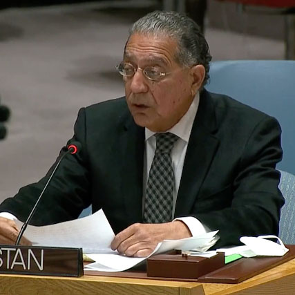 Munir Akram - Profile Picture