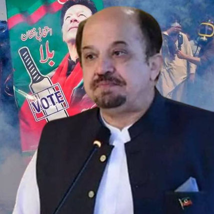 Firdous Naqvi - Profile Picture