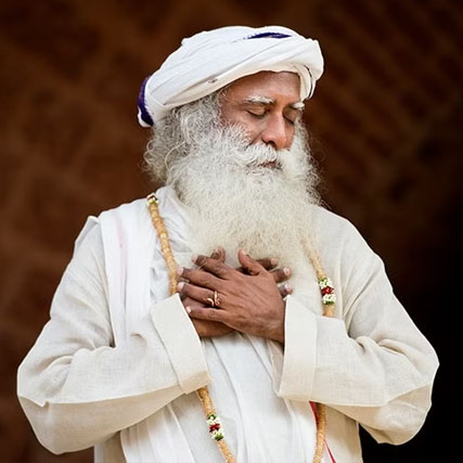 biography of sadhguru book